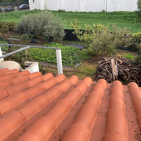 מלון לוז דה טווירה Casa Da Torre מראה חיצוני תמונה