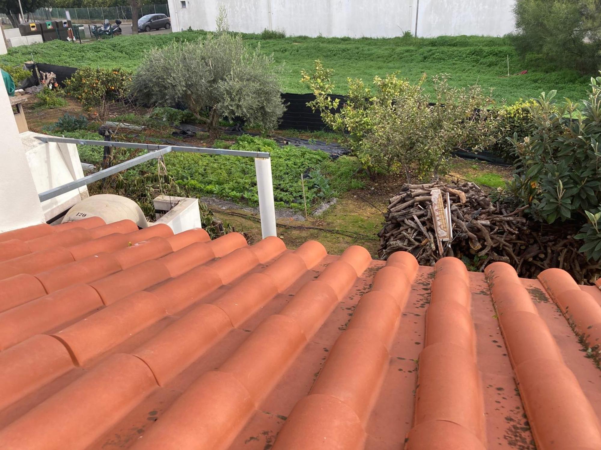 מלון לוז דה טווירה Casa Da Torre מראה חיצוני תמונה